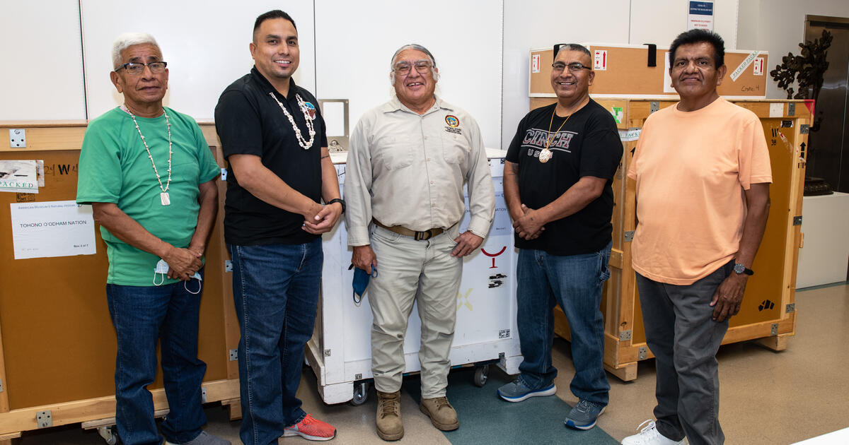 Tohono O #39 odham Nation Repatriation AMNH