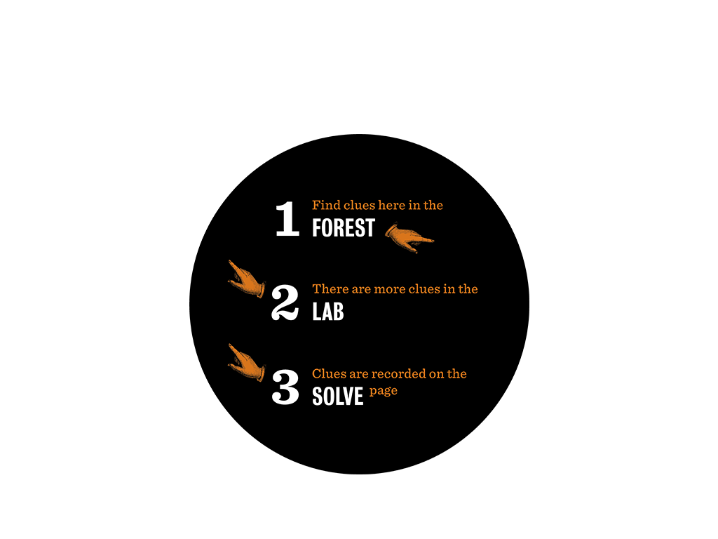 1_2_scene_instructions