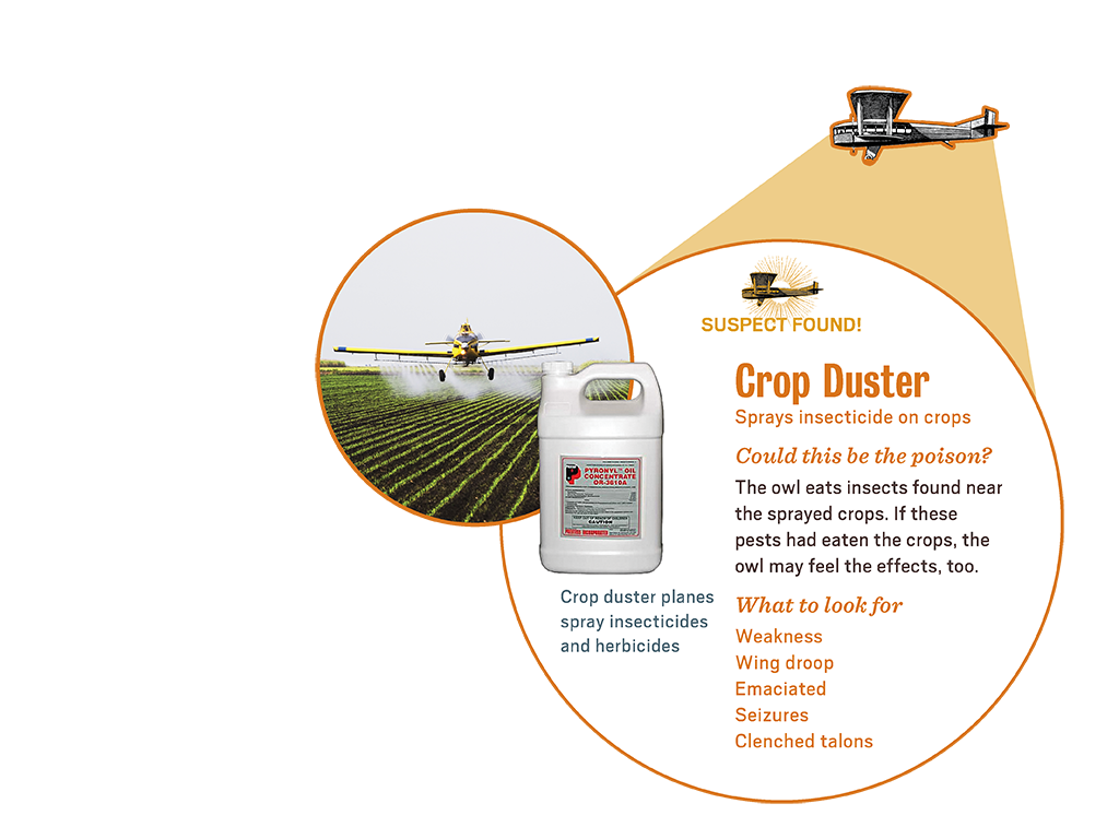 1_2_scene_suspect_popup2_cropduster