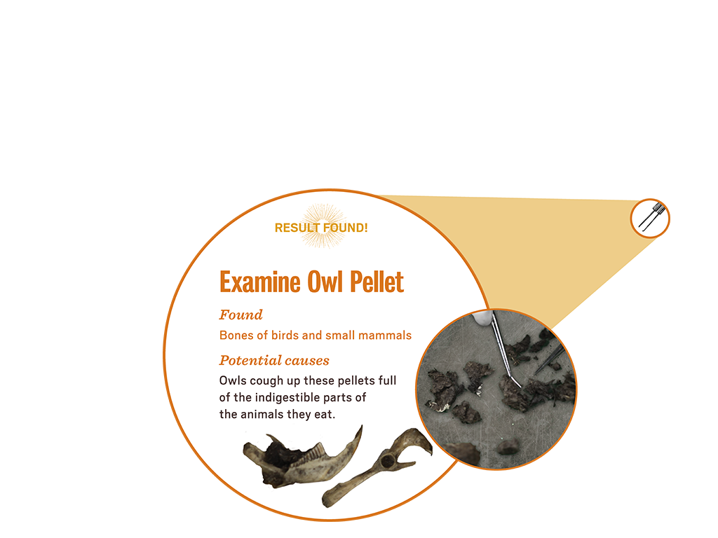 1_3_lab_popup2_pellet