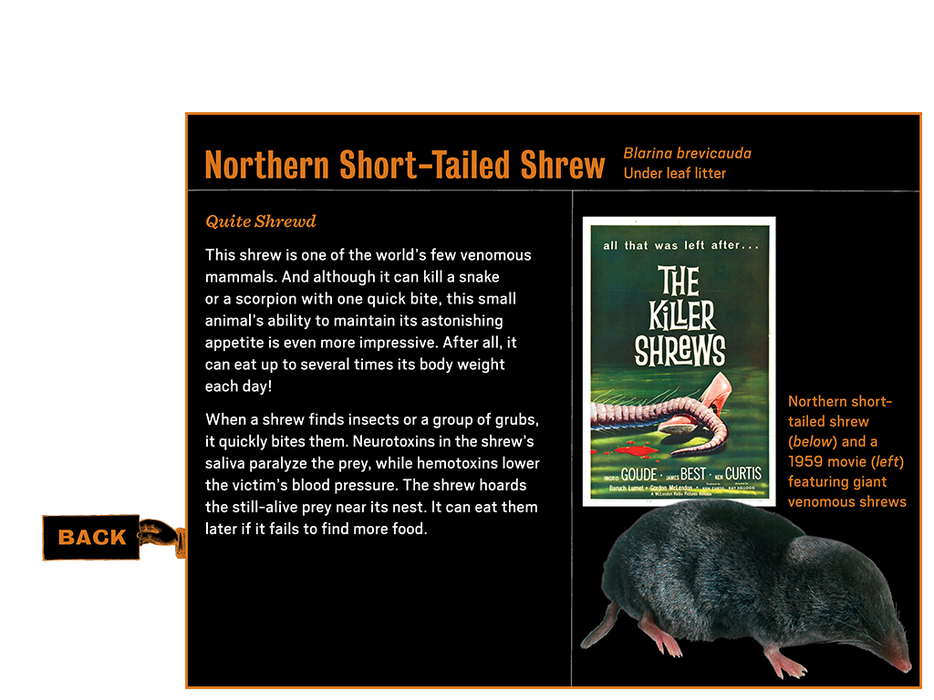 1_4_notebook_learnmore1_shrew_btn