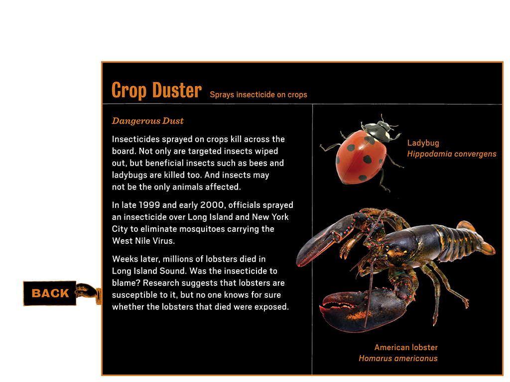 1_4_notebook_learnmore2_cropduster_btn