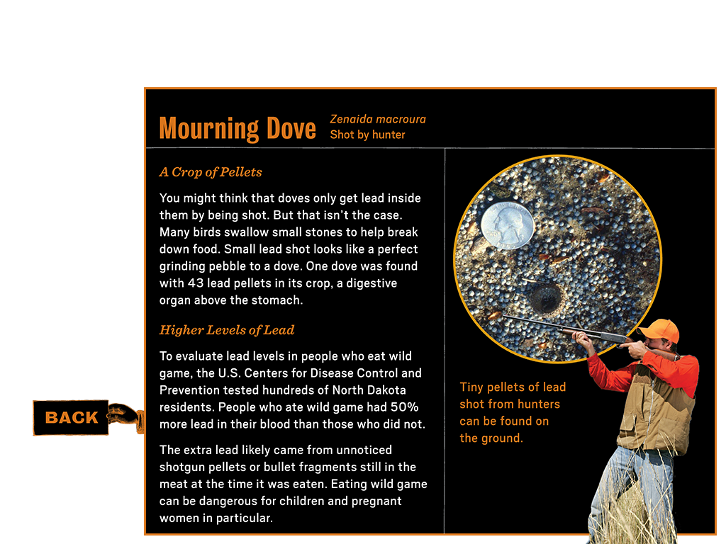 1_4_notebook_learnmore3_dove_btn