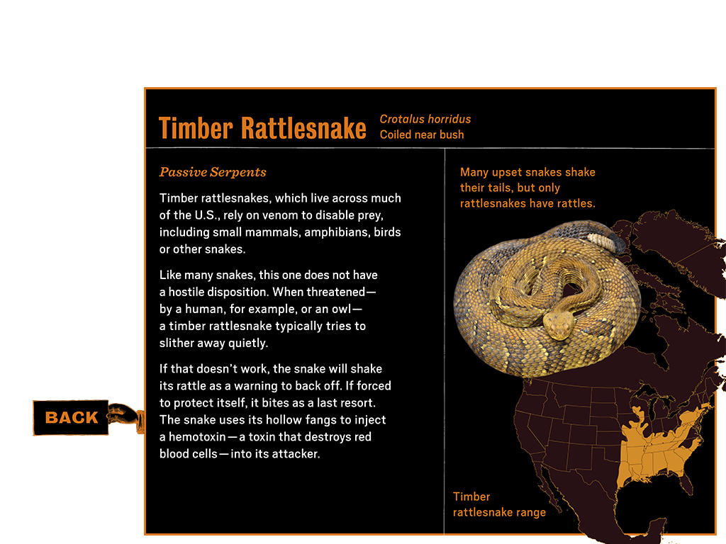 1_4_notebook_learnmore6_snake_btn