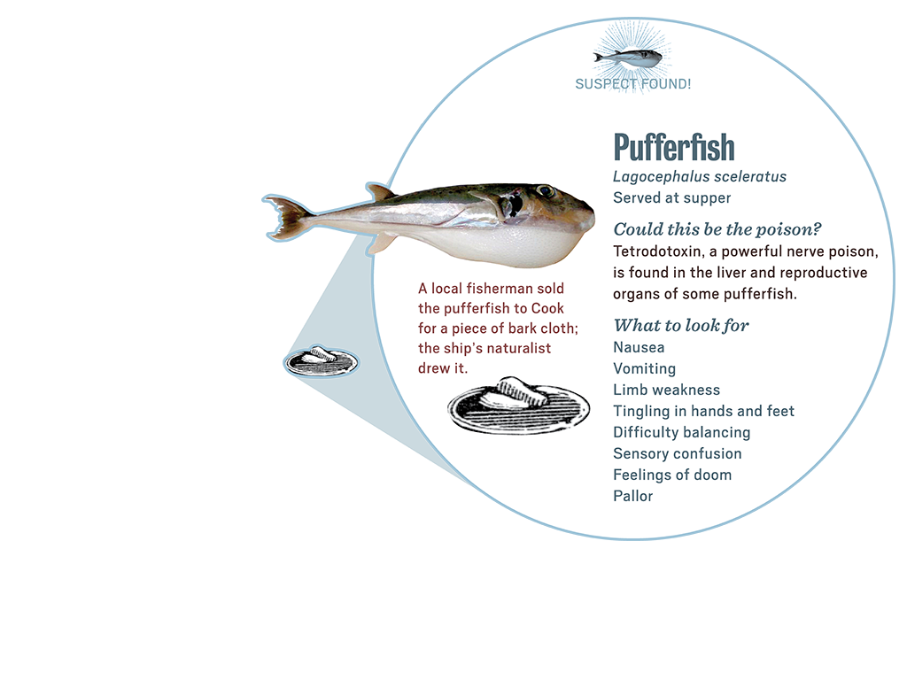 2_2_scene_popup2_fish