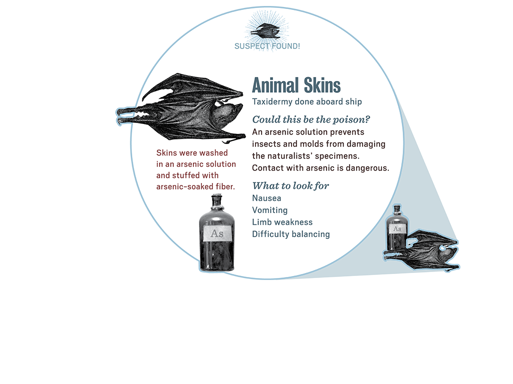 2_2_scene_popup5_animalskins
