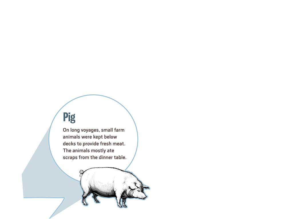 2_2_scene_popup6_pig