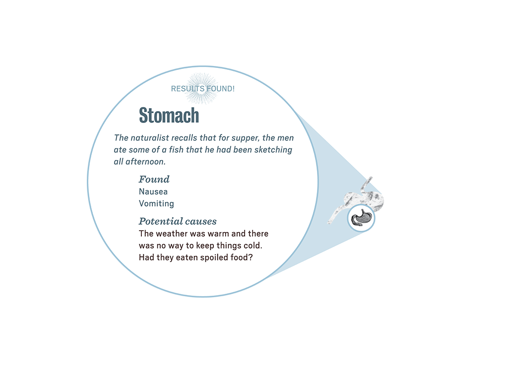 2_3_lab_popup4_stomach