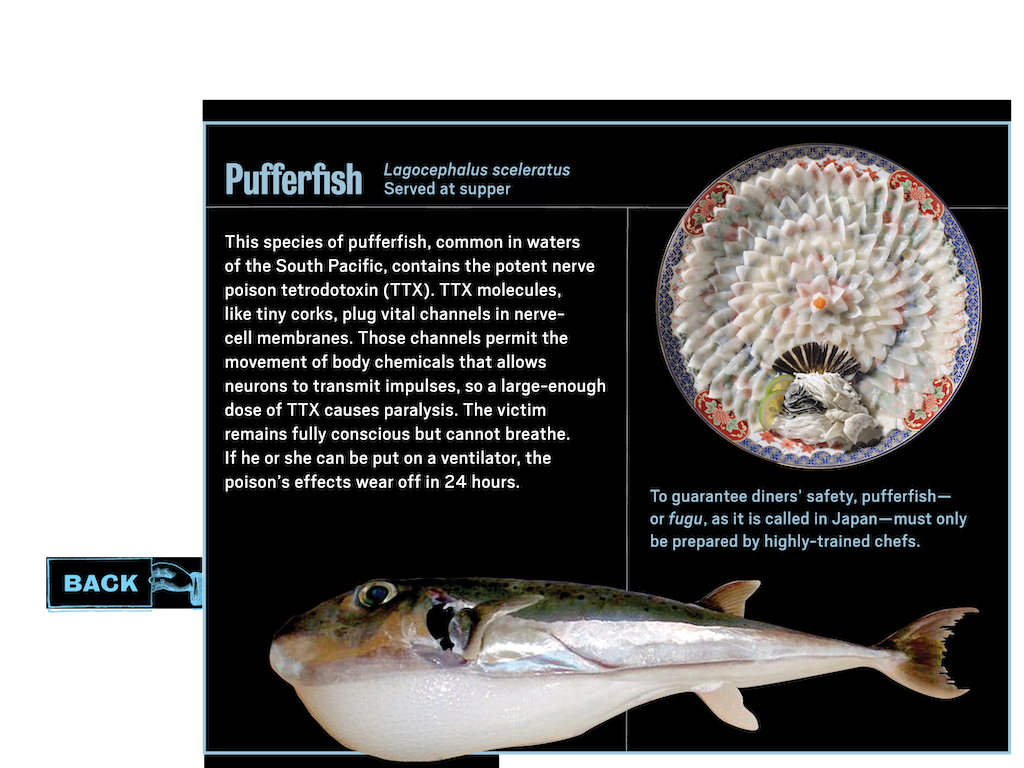 2_4_notebook_learnmore_popup3_fish_btn