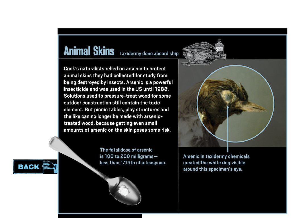 2_4_notebook_learnmore_popup6_animalskins_btn