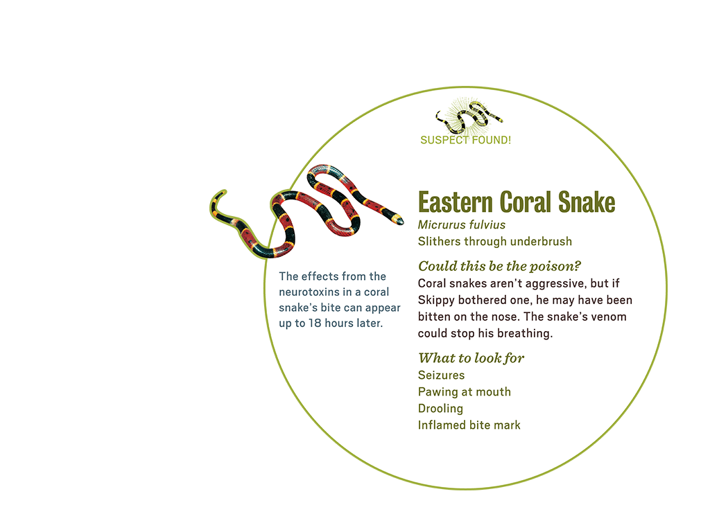 3_2_scene_popup1_snake