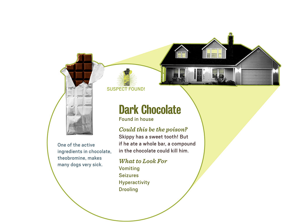 3_2_scene_popup2_chocolate