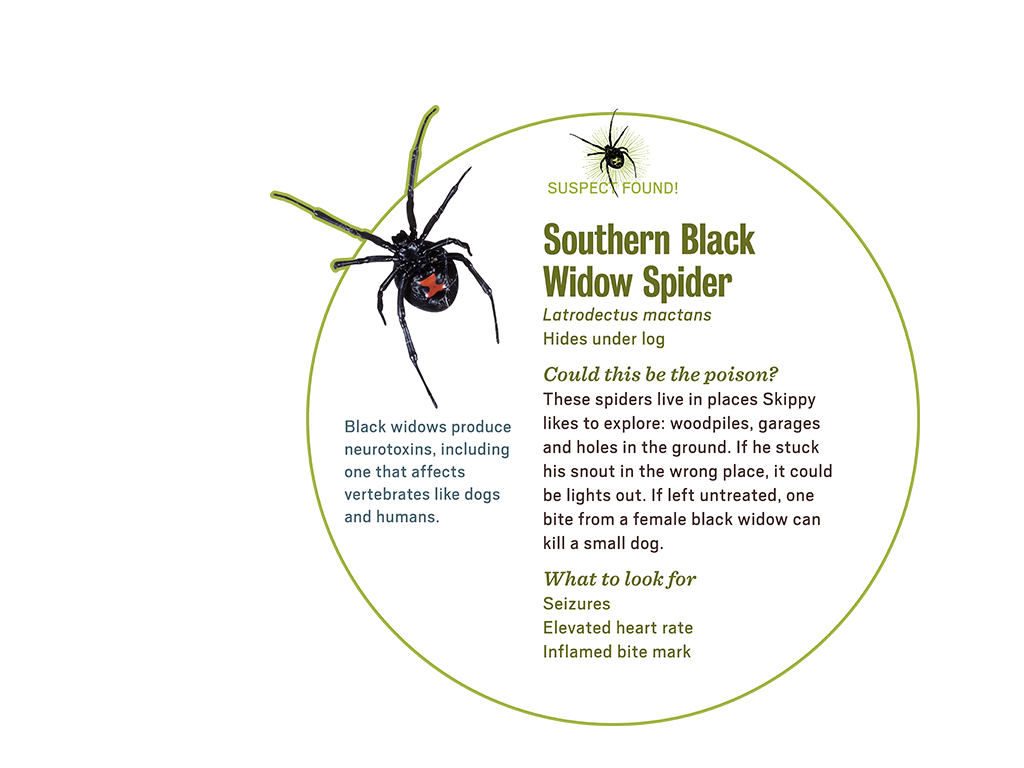 3_2_scene_popup3_spider-log