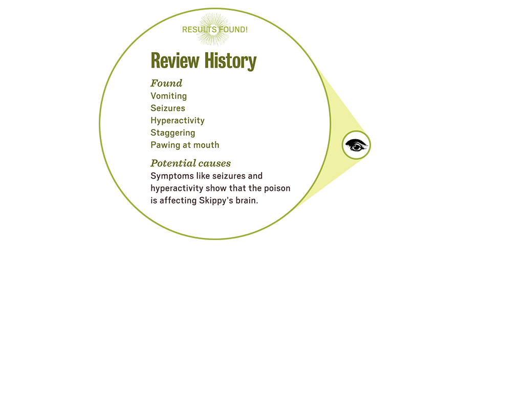3_3_lab_popup1_history