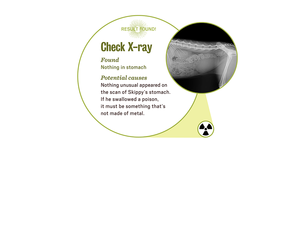 3_3_lab_popup3_xray