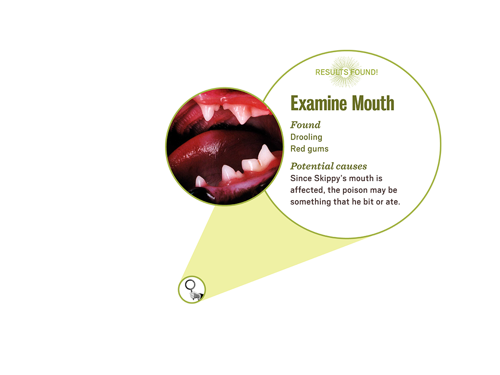 3_3_lab_popup4_mouth