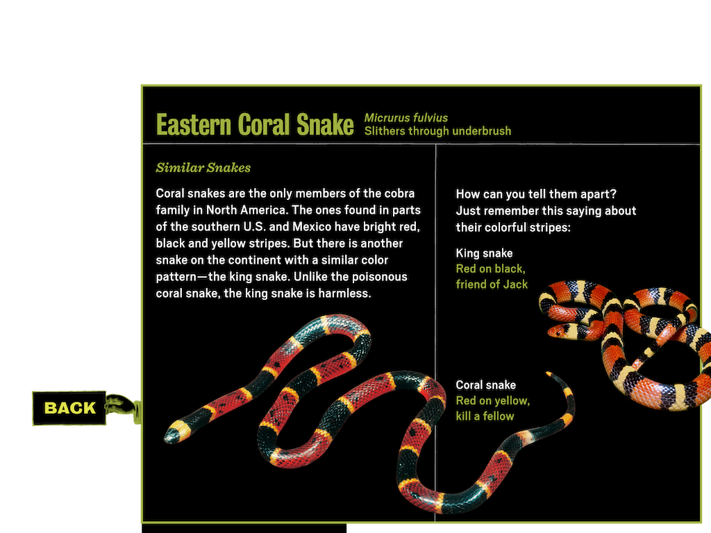 3_4_notebook_learnmore_popup2_snake_btn