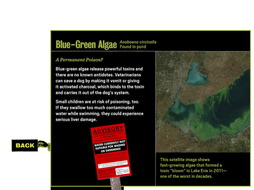 3_4_notebook_learnmore_popup3_algae_btn