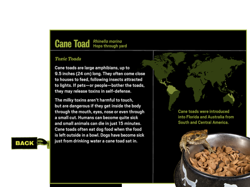 3_4_notebook_learnmore_popup4_toad_btn
