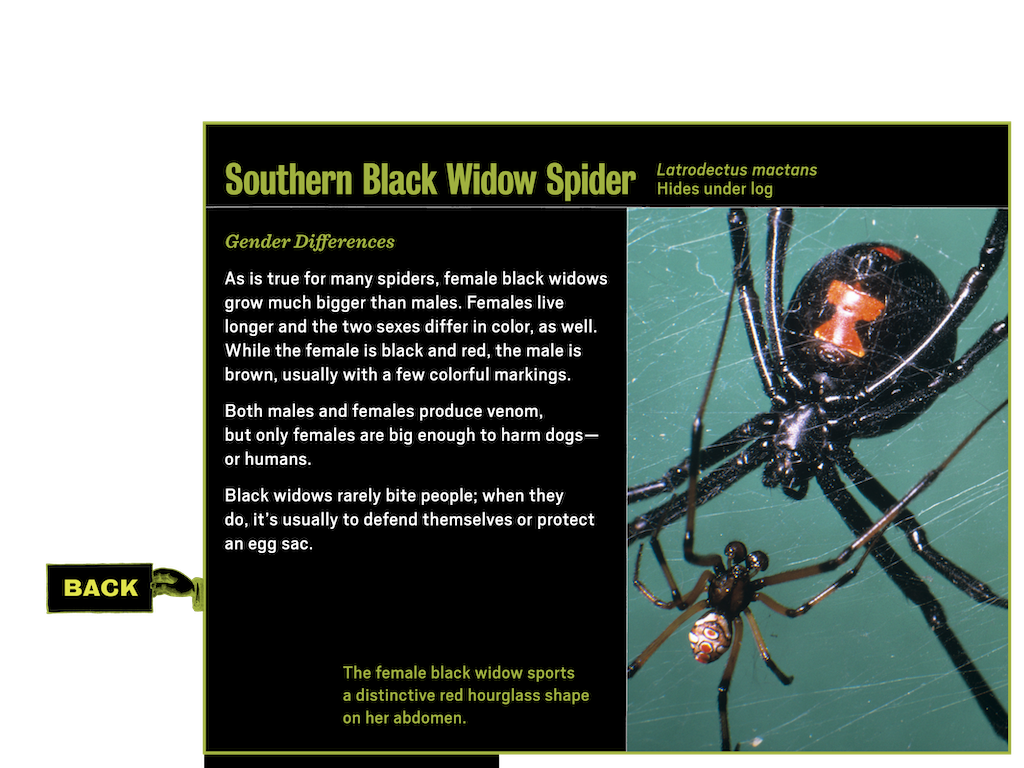 3_4_notebook_learnmore_popup6_spider_btn