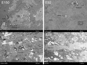 A split slide with magnifications of four rock specimens of gray color mottled with white and darker gray content.