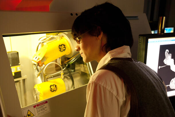 Museum researcher Amy Balanoff looks into the window of a CT scanner which is imaging fossils.