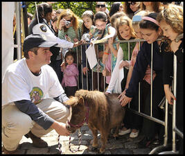 Opening Day Gallery 2