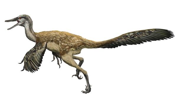 Byronosaurus