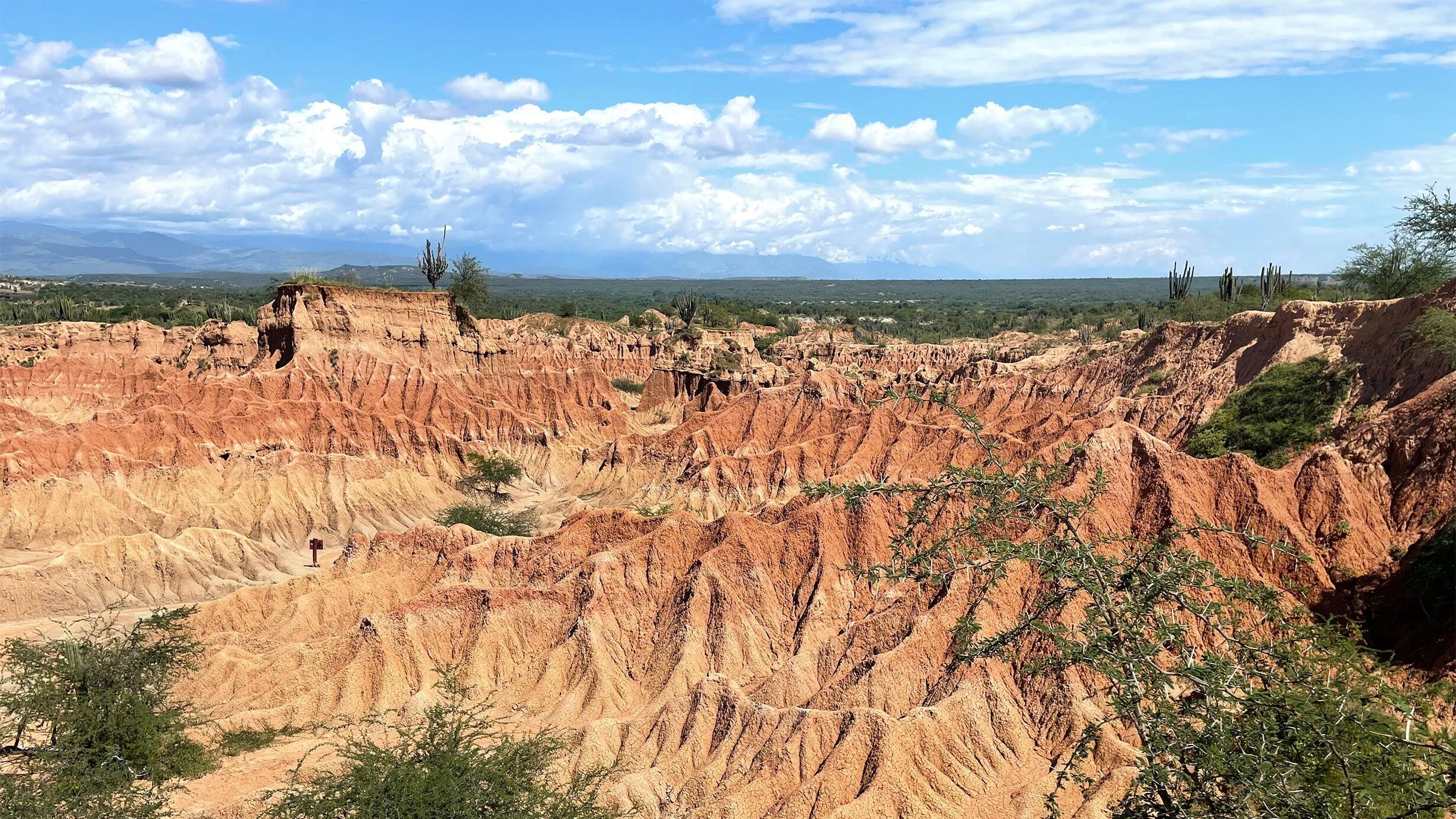 A panoramic view of a recessed canyon, with red rock formations, at the La Venta fossil site in Colombia.