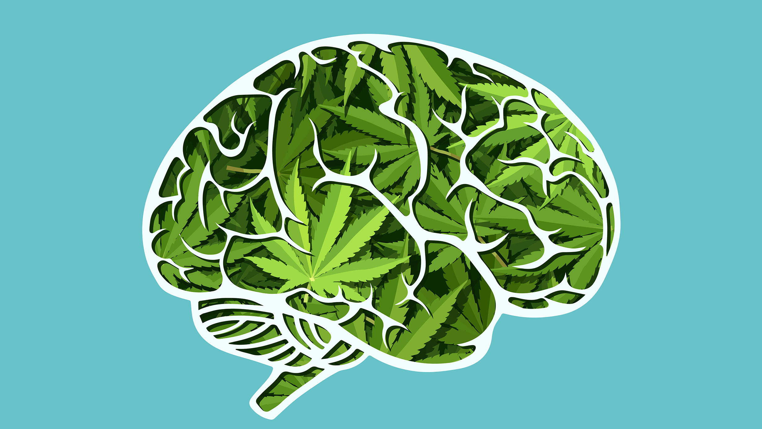 Artist rendering depicts the outline of a human brain, filled in with illustrations of cannabis leaves.