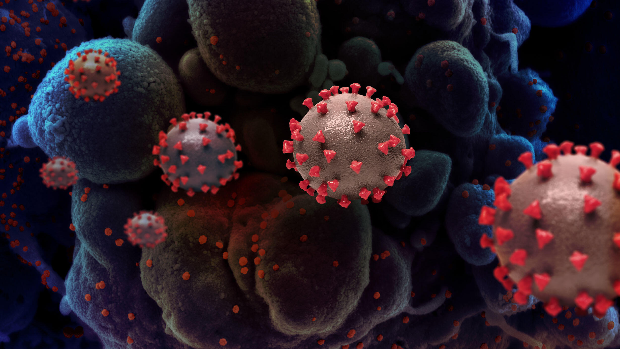 Artist rendering of SARS-COV-2 virus particles.