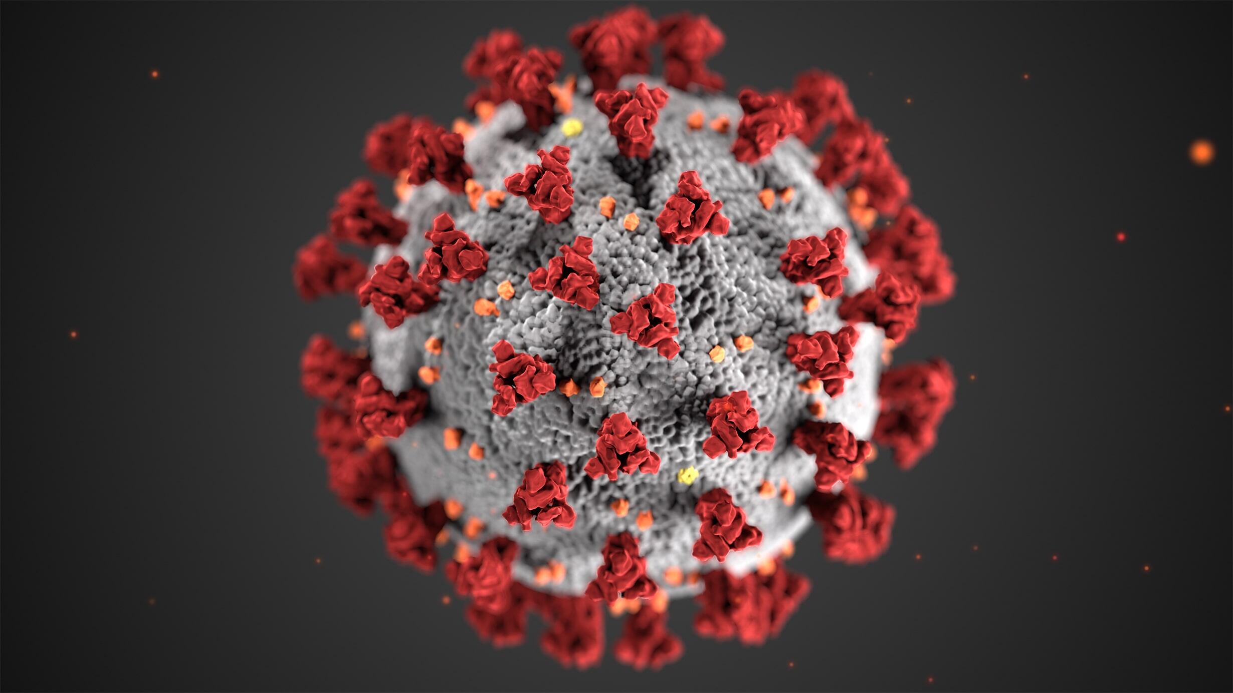 An illustration of the coronavirus, demonstrating the spikes - the coronas - that adorn the outer surface of the virus.