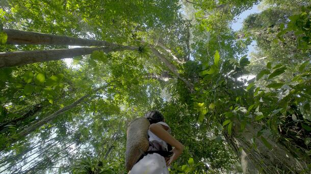 In this still from the film Indai Apai Darah, by Kynan Tegar, a woman looks up at the lush green canopy of a forest in Borneo.
