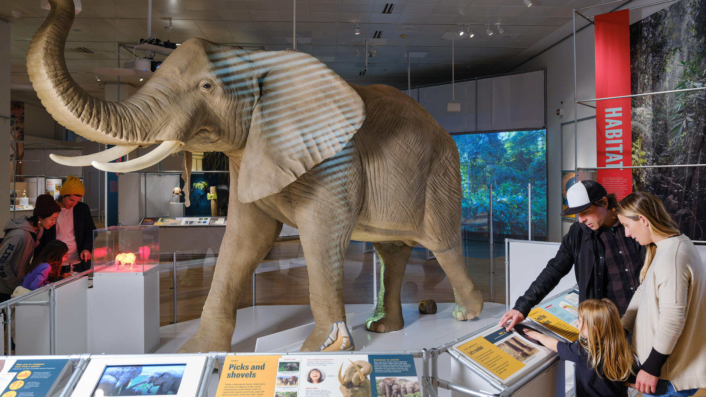 A family with a young child explore an interactive panel at a museum exhibition. A large model of an elephant is illuminated before them.