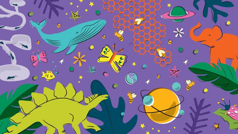 Whimsical illustrations of a blue whale, barosaurus, squid, planets, shells, stars, insects and honeycomb against a blue background.