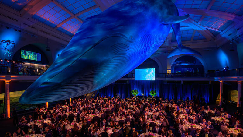 Catalyst Dinner: 2026 Benefit | AMNH