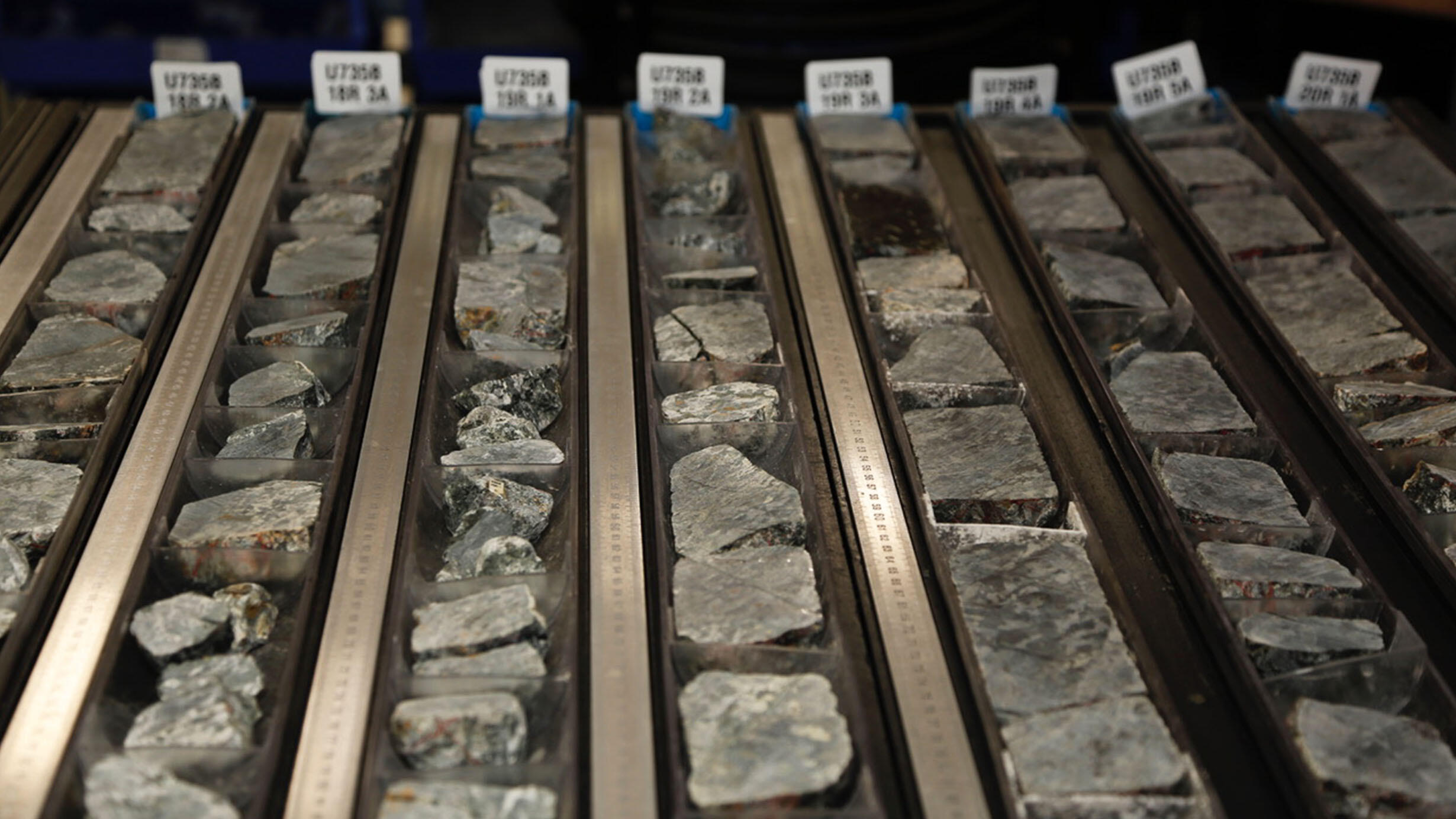 Trays of rock specimens from the ocean subfloor.