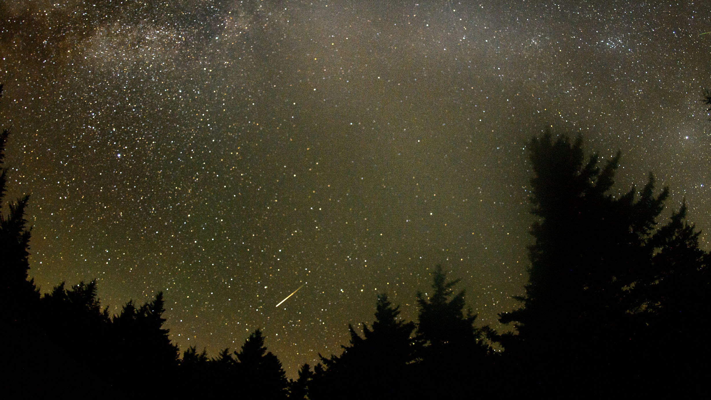 Meteor is visible as a small streak of light in the night sky.
