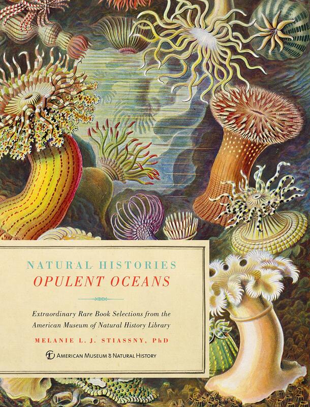 Cover with colorful sea anemone illustrations and text: Opulent Oceans: Extraordinary Book Selections from AMNH Library by Melanie J. Stiassny, PhD.