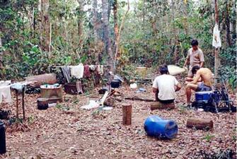 Three people wearing hot-weather clothing at a camp site in a clearing in a green forest with dry brown leaves on the ground.