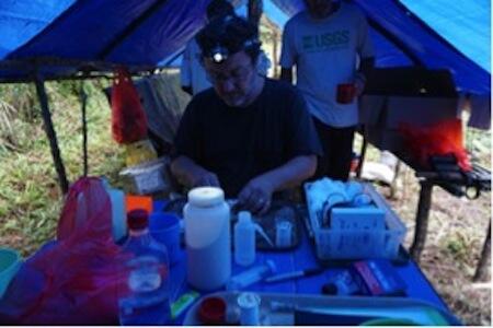 A field tent with sides rolled up. A man wearing headlamp handles containers and supplies at a table inside.