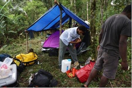 Scientists setting up a campsite, with tents, on a ridge in a forest