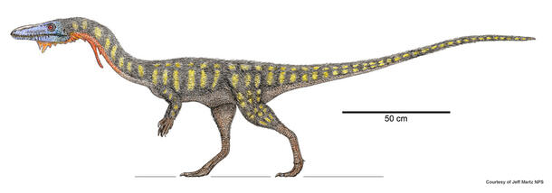 Colorful artistic rendering of a Coelophysis bauri dinosaur with fuzzy skin, short claw-like arms and colorful spots.