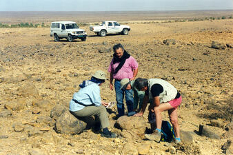 creating hope mauritania 3 