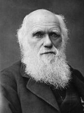 A bust shot of a man, Charles Darwin, with a long white beard and mustache posing for the camera wearing a dark coat.