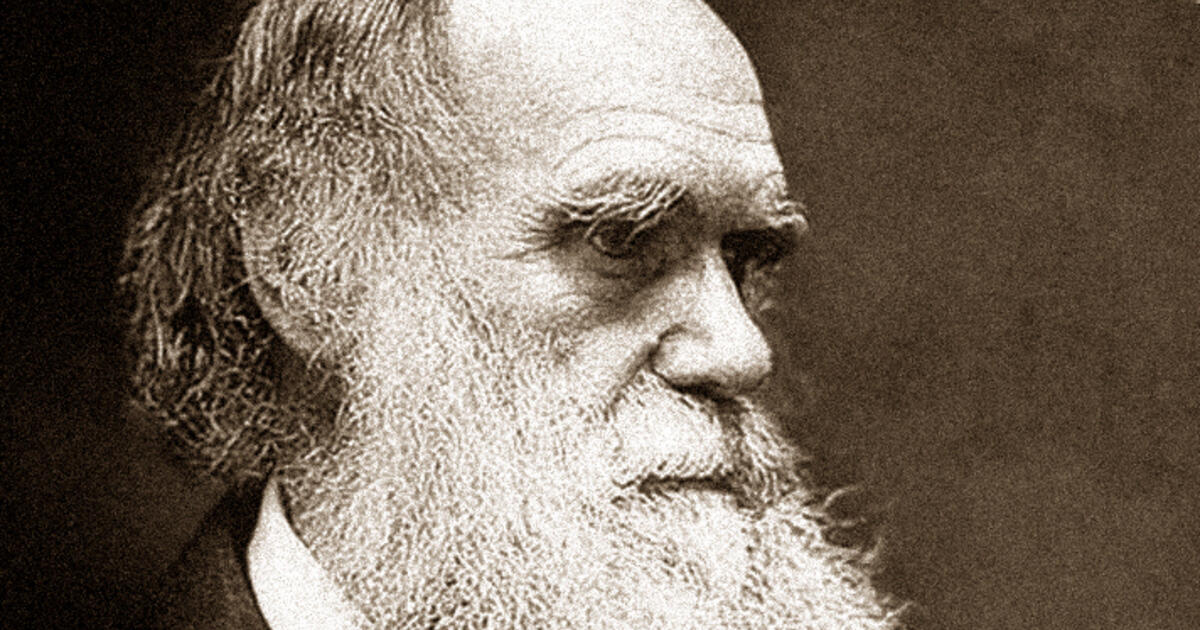 råb op Udsigt trone Darwin Exhibition | American Museum of Natural History
