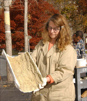 Tree bark created by Exhibitions department for a dinosaur diorama