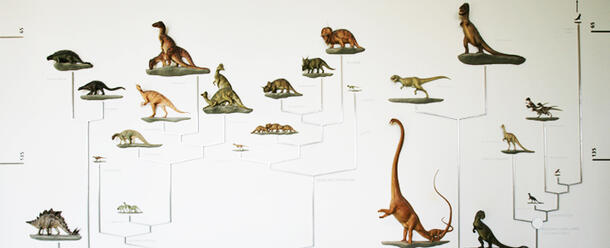 Dinosaur Cladogram