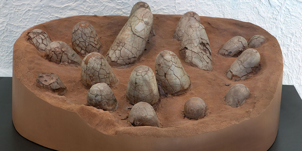 Dinosaur eggs real Examples of