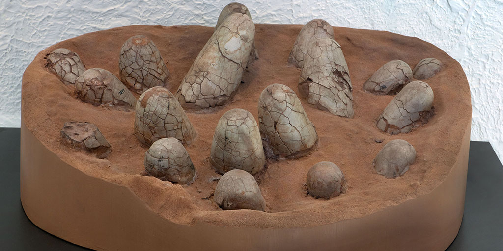 How Are Dinosaur Eggs Fossilized At Kathryn Ono Blog How Are Dinosaur Eggs Fossilized At Kathryn Ono Blog